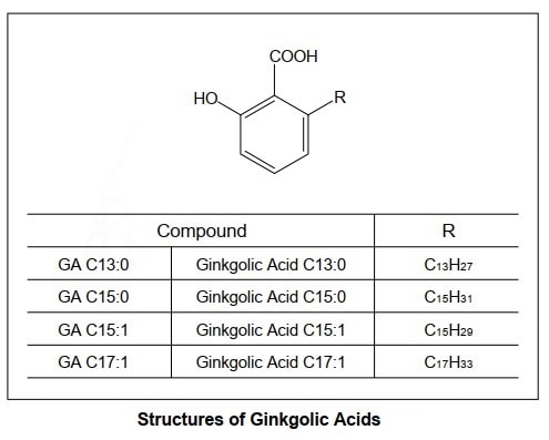 Analysis of Ginkgolic Acids in Ginkgo Biloba Extract Shimadzu (Europe)